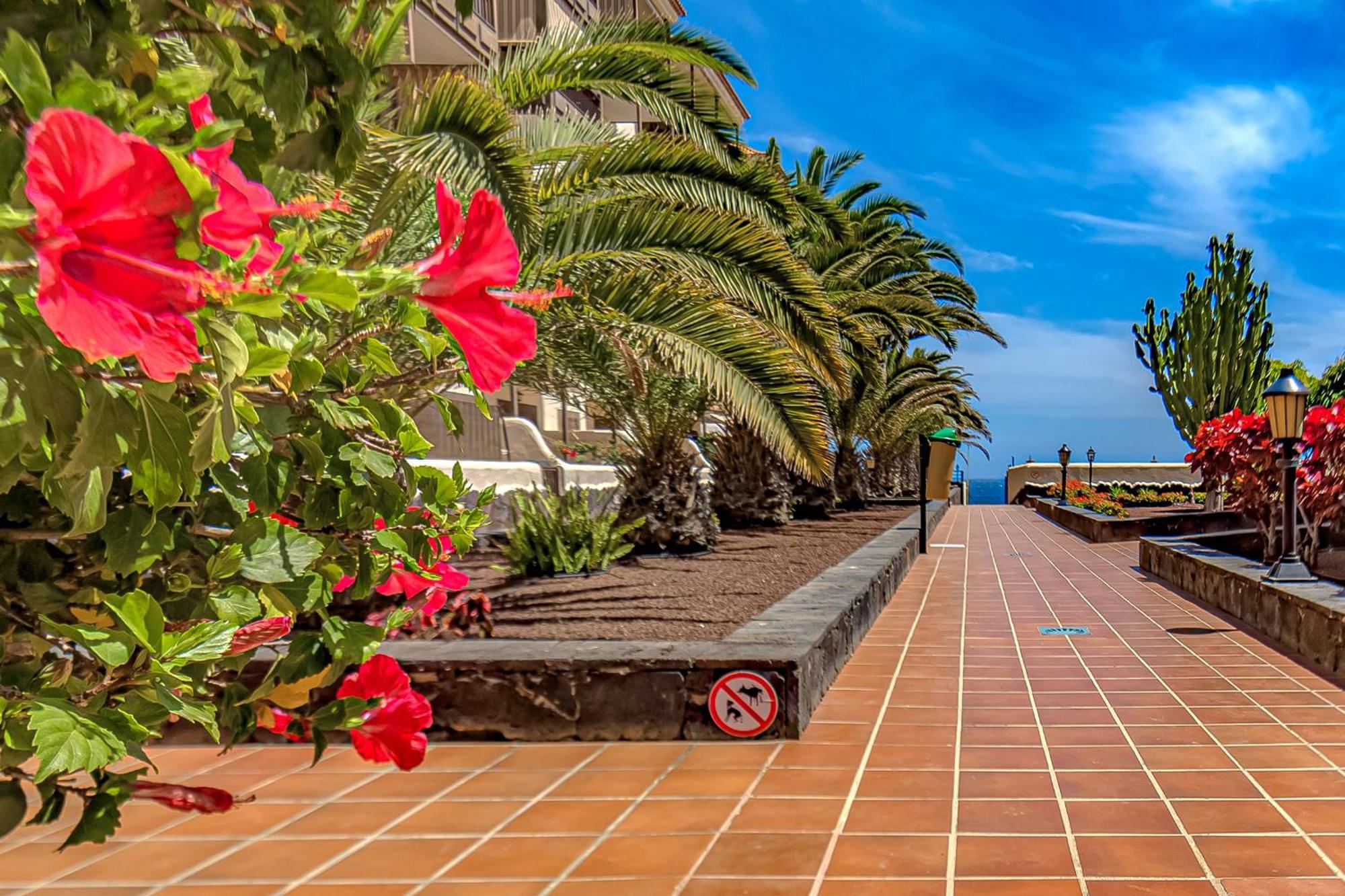 Atlantis 3 One Bedroom, Sea Front, In Complex With Pool Costa Del Silencio Luaran gambar